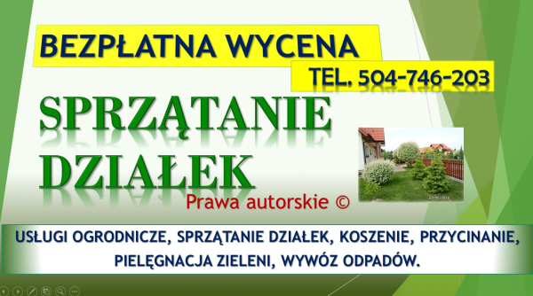 Uporządkowanie działki, cennik tel. 504-746-203. Porządkowan