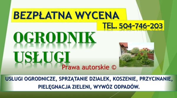 Uporządkowanie działki, cennik tel. 504-746-203. Porządkowan