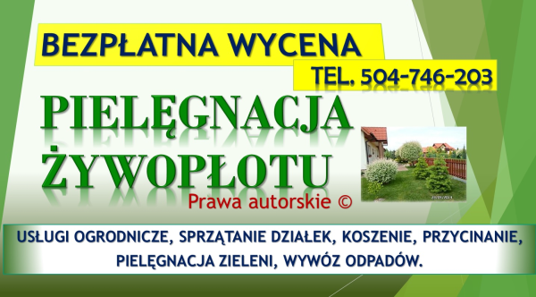 Uporządkowanie działki, cennik tel. 504-746-203. Porządkowan