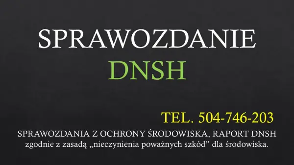 Wykonać sprawozdanie z DNSH, tel. 504-746-203, cennik
