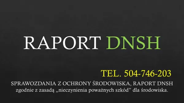 Wykonanie raportu, sprawozdania DNSH, tel. 504-746-203,  