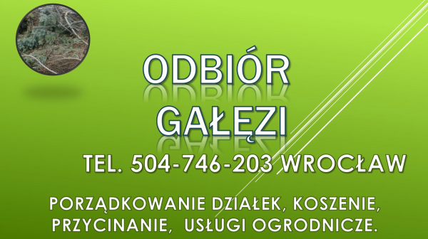 Wywóz gałęzi z działki,  tel. 504-746-203. Cennik, Wrocław