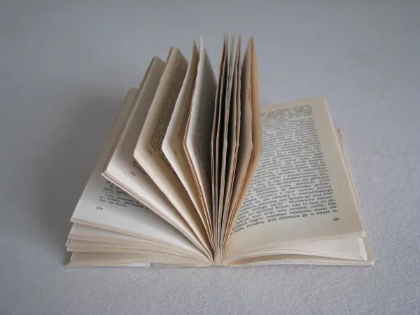 Zapomniany język Wstęp do rozumienia snów baśni... E. Fromm