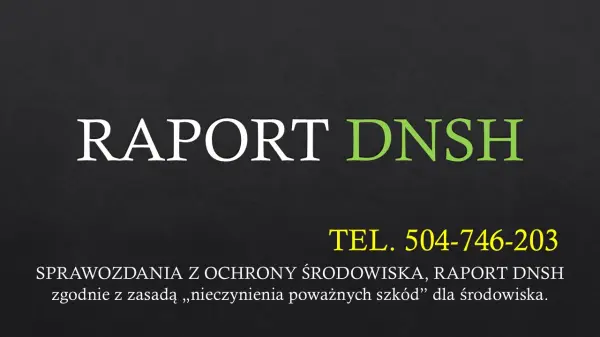 Zasady DNSH, wykonać raport, tel. 504-746-203, cennik