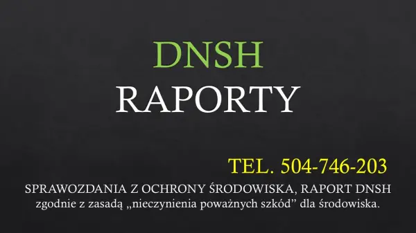 Zasady DNSH, wykonać raport, tel. 504-746-203, cennik